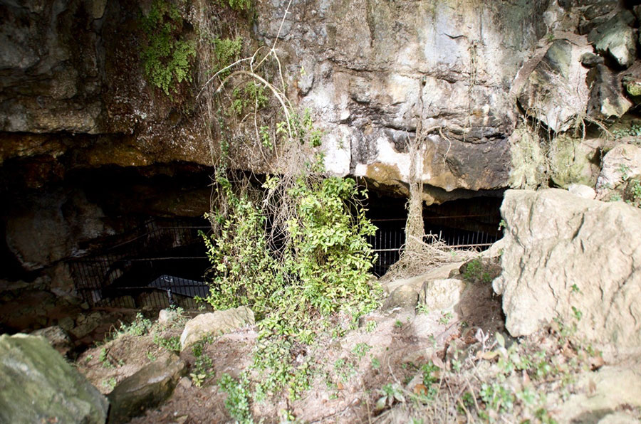 Acceso a la cueva de El Pendo